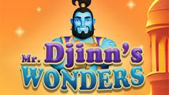 Mr. Djinn's  Wonders 
