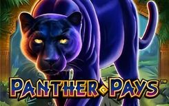 Panther Pays