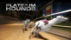 Platinum Hounds