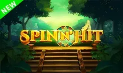 Spin n Hit