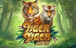 Tiger Tiger