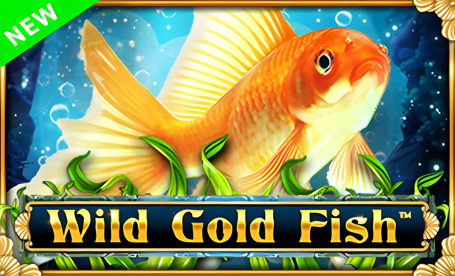 Wild Gold Fish